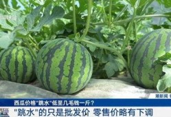 热门大瓜有哪些 网红黑料在线,网红黑料背后的真相与反思